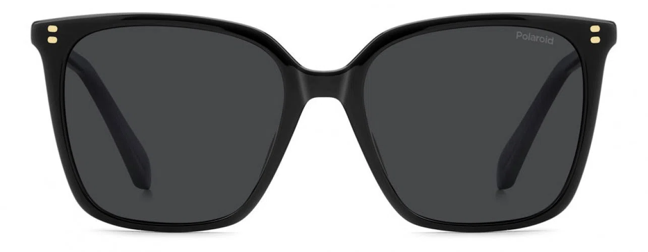 Polaroid Core PLD4201 Sunglasses - view 4